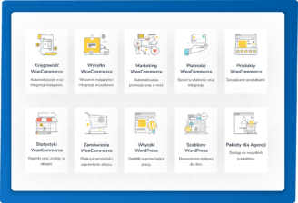 Usługi WooCommerce na infografice: księgowość, wysyłka, marketing.